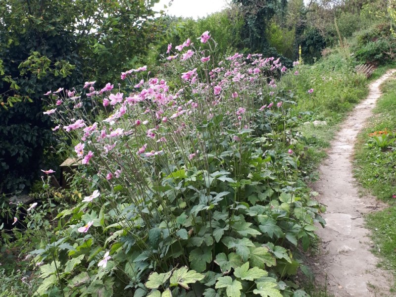 Après la belle&nbsp;saison